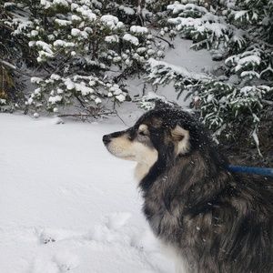 Meet your Posher, Jill